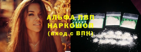 дживик Белокуриха