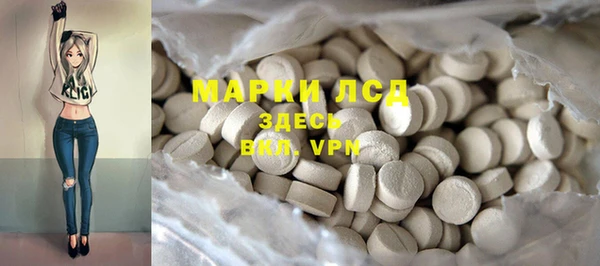 дживик Белокуриха