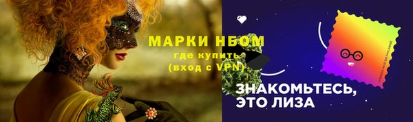 дживик Белокуриха