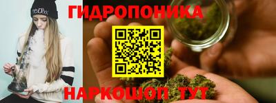 индика Канаш