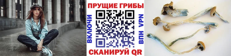 Псилоцибиновые грибы Magic Shrooms мега tor Малоярославец