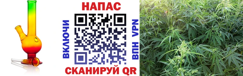 купить  цена  Малоярославец  Конопля тримм 